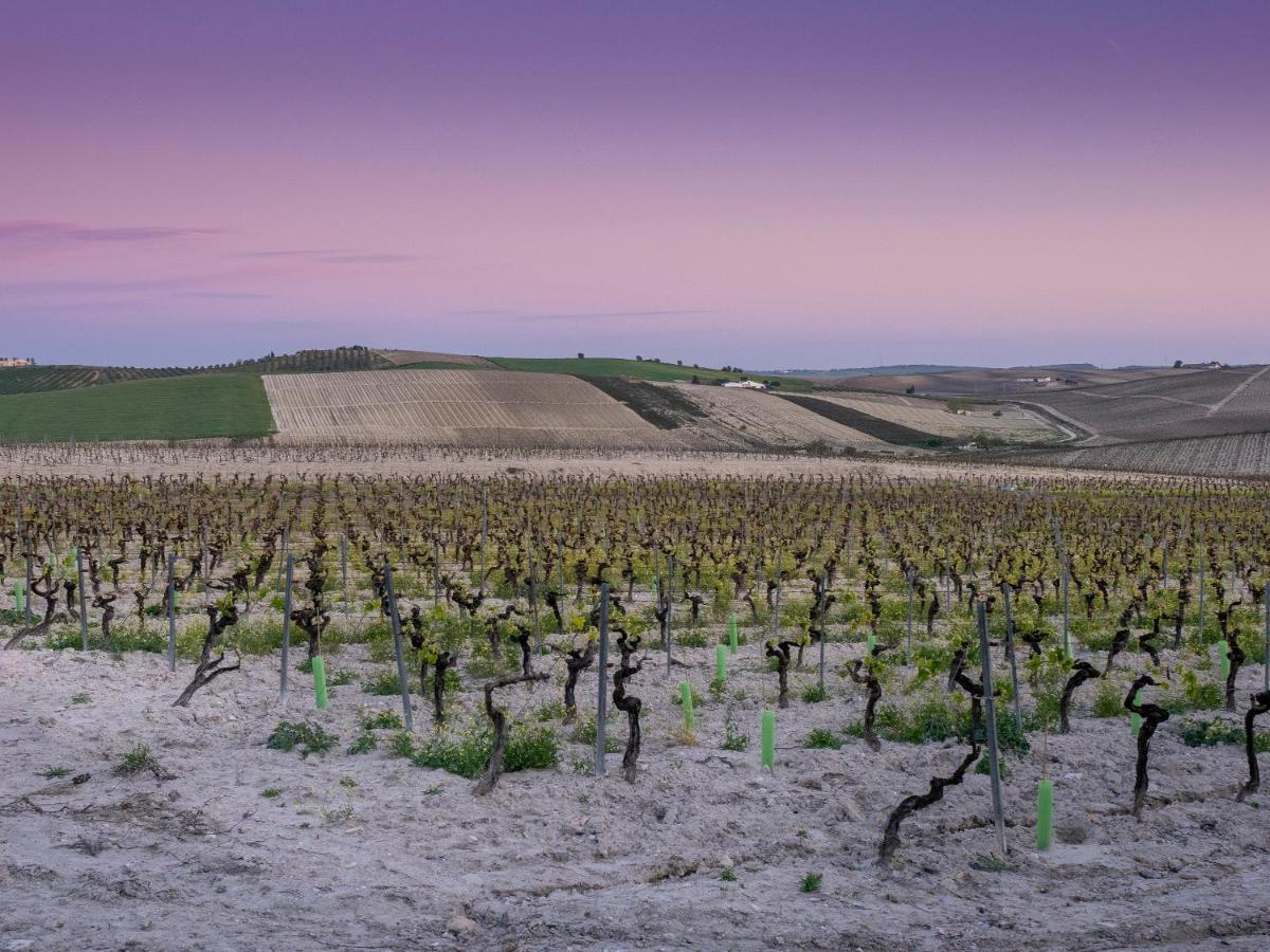 La Ermita Fjhomefj Jerez de la Frontera Esterno foto